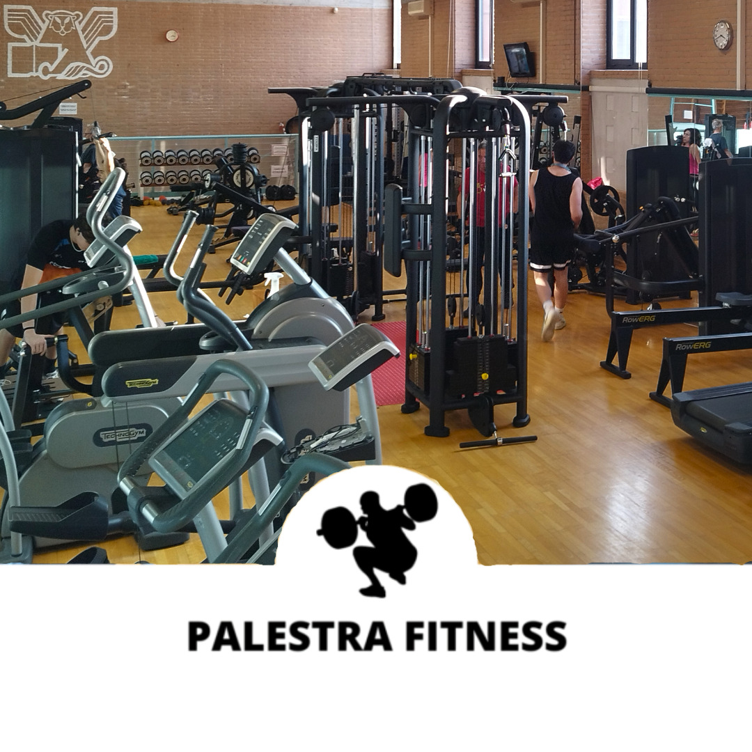 Palestra FITNESS
