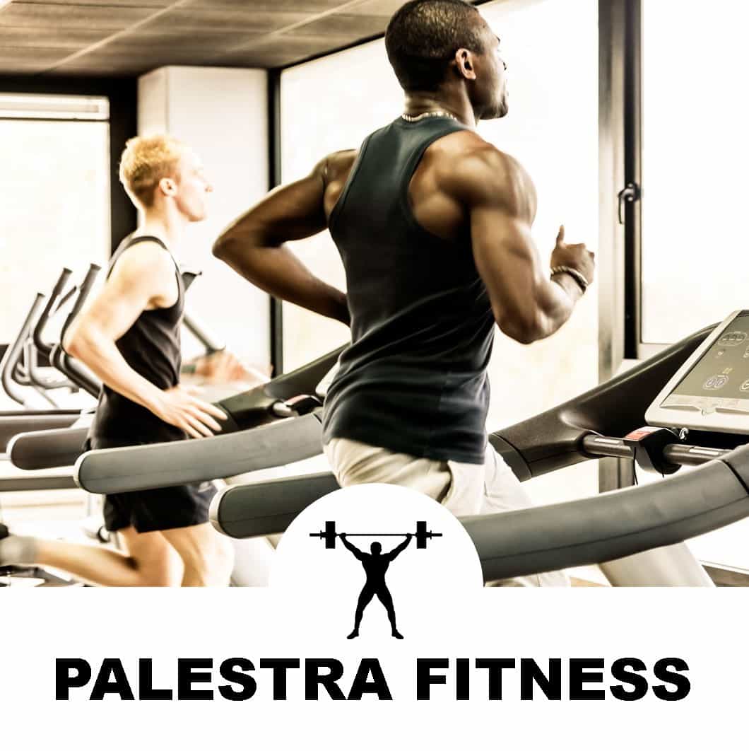 Palestra Fitness Climatizzata