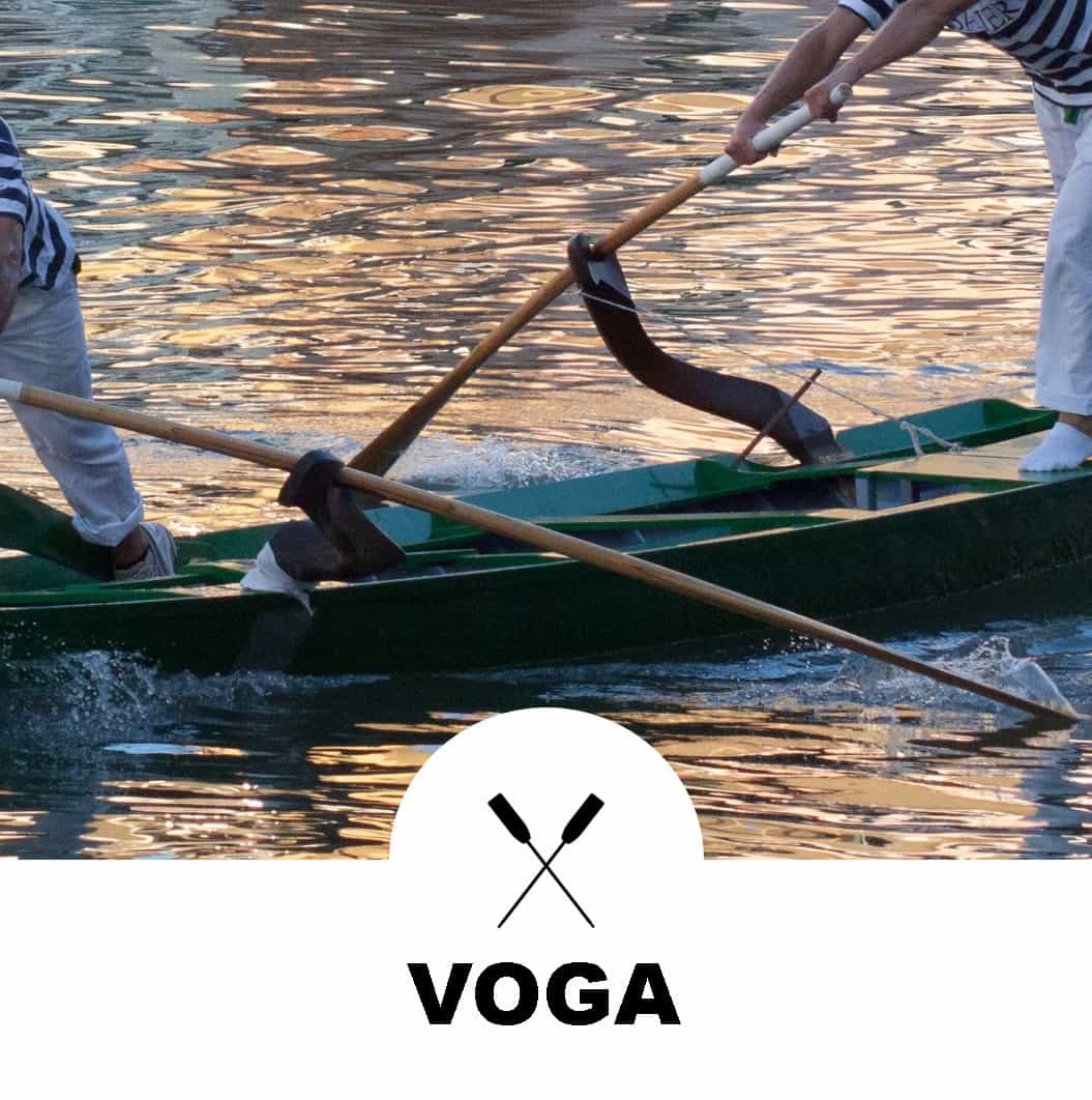 Voga