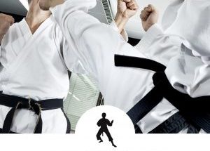 judo2-1-300×300