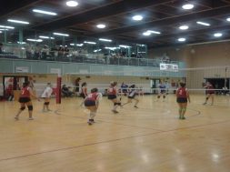 partitavolley