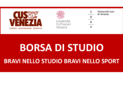 webborsadistudio