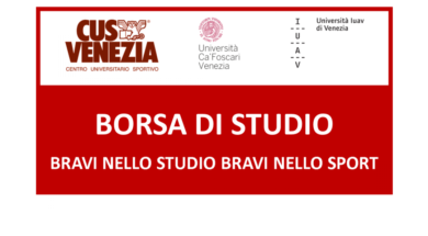 webborsadistudio