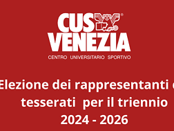 Draft elezione rappresentanti 2024-206