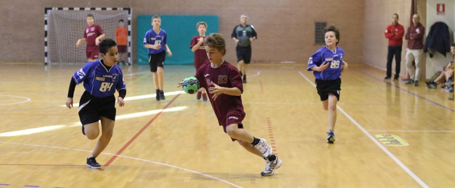 LA PALLAMANO SCOLASTICA INVADE IL PALACUS MENTRE LE RAGAZZE DEL VOLLEY AVANZANO AI CNU